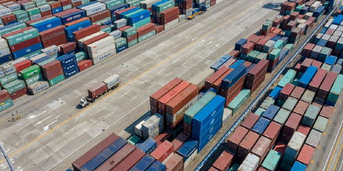 今年前8個月我國貨物貿易進出口同比增長6%，國內貿易代理角色凸顯